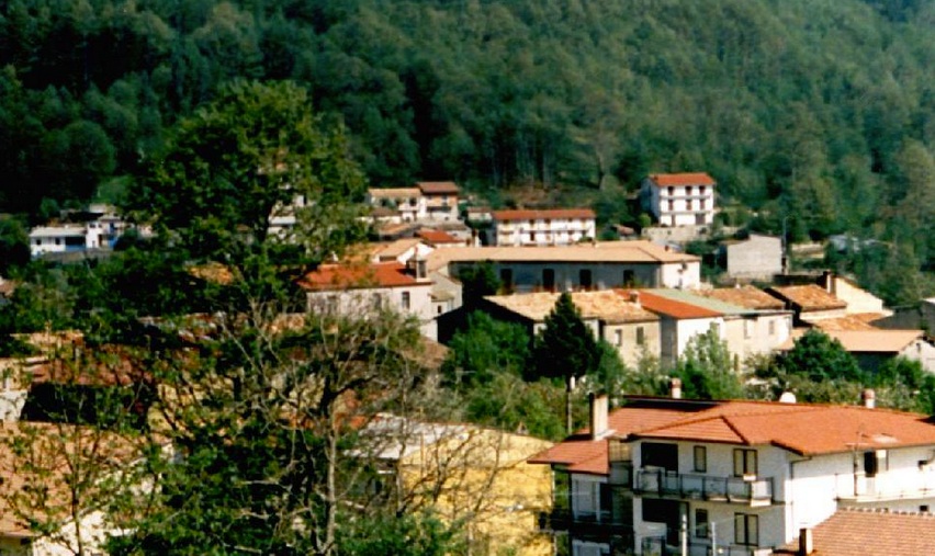 1 1